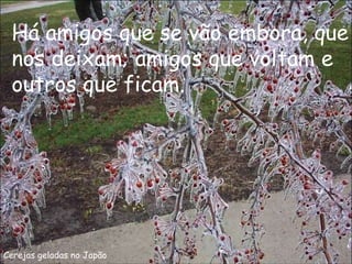 Cerejas geladas no Japão Há amigos que se vão embora, que nos deixam; amigos que voltam e outros que ficam. 