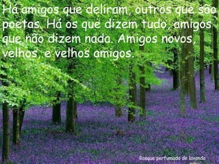 Bosque perfumado de lavanda Há amigos que deliram, outros que são poetas. Há os que dizem tudo, amigos que não dizem nada. Amigos novos, velhos, e velhos amigos. 