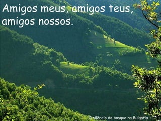O silêncio do bosque na Bulgaria Amigos meus, amigos teus, amigos nossos. 