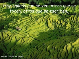 Verdes campos en Nepal Hay amigos que se ven, otros que se tocan, otros que se escriben.  