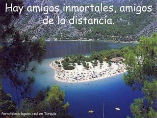 Paradisíaca laguna azul en Turquía Hay amigos inmortales, amigos de la distancia. 
