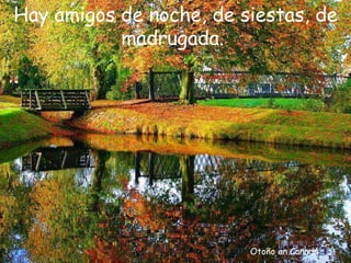 Otoño en Canadá Hay amigos de noche, de siestas, de madrugada.  