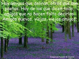 Bosque perfumado de lavanda Hay amigos que deliran, otros que son poetas. Hay de los que dicen todo, amigos que no hacen falta decirlos. Amigos nuevos, viejos, viejos amigos. 