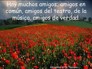 Amapolas en la Toscana Hay muchos amigos; amigos en común, amigos del teatro, de la música, amigos de verdad. 