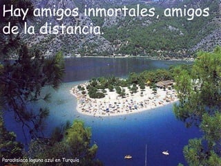 Paradisíaca laguna azul en Turquía Hay amigos inmortales, amigos de la distancia. 