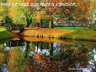 Otoño en Canadá Hay amigos que nunca cambian.  