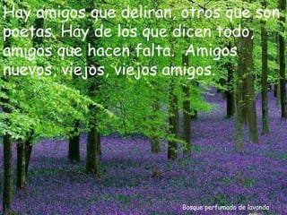Bosque perfumado de lavanda Hay amigos que deliran, otros que son poetas. Hay de los que dicen todo, amigos que hacen falta.  Amigos nuevos, viejos, viejos amigos. 