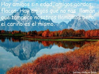 Sublime otoño en Suiza Hay amigos sin edad, amigos gordos, flacos. Hay amigos que no nos  llaman, que tampoco nosotros llamamos pero el cariño es el mismo.  