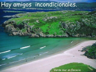 Verde mar en Escocia Hay amigos  incondicionales. 