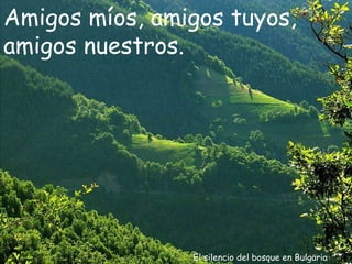 El silencio del bosque en Bulgaria Amigos míos, amigos tuyos, amigos nuestros. 