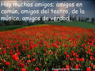 Amapolas en la Toscana Hay muchos amigos; amigos en común, amigos del teatro, de la música, amigos de verdad. 