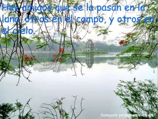 Sosegado paisaje en Vietnám Hay amigos que se la pasan en la luna, otros en el campo, y otros en el cielo. 