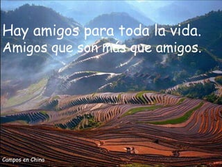 Campos en China Hay amigos para toda la vida.  Amigos que son más que amigos. 