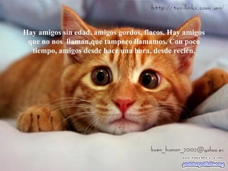 Hay amigos sin edad, amigos gordos, flacos. Hay amigos
que no nos llaman,que tampoco llamamos. Con poco
tiempo, amigos desde hace una hora, desde recién.
 