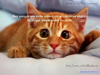 Hay amigos que están tristes, otros que están alegres,
otros que simplemente no están.
 