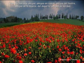 Amapolas en la Toscana Hay muchos más amigos; amigos en común, amigos del teatro, amigos de la música, del deporte, amigos de verdad. 