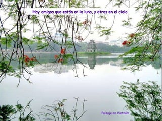 Paisaje en Vietnám Hay amigos que están en la luna, y otros en el cielo. 