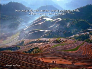 Campos en China Hay amigos de vidas pasadas, amigos para toda la vida. Amigos que son más que amigos. 