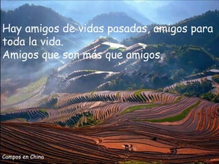 Hay amigos de vidas pasadas, amigos para
toda la vida.
Amigos que son más que amigos.




Campos en China
 