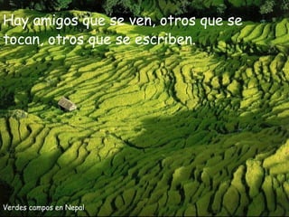 Hay amigos que se ven, otros que se
tocan, otros que se escriben.




Verdes campos en Nepal
 