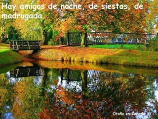 Hay amigos de noche, de siestas, de
madrugada.




                           Otoño en Canadá
 