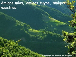 Amigos míos, amigos tuyos, amigos
nuestros.




                     El silencio del bosque en Bulgaria
 