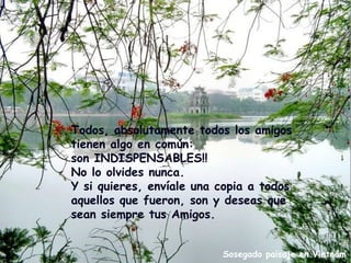 Todos, absolutamente todos los amigos
tienen algo en común:
son INDISPENSABLES!!
No lo olvides nunca.
Y si quieres, envíale una copia a todos
aquellos que fueron, son y deseas que
sean siempre tus Amigos.


                          Sosegado paisaje en Vietnám
 