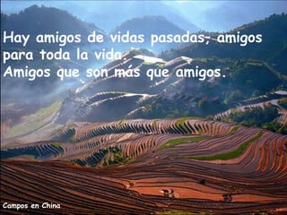 Hay amigos de vidas pasadas, amigos
para toda la vida.
Amigos que son más que amigos.




Campos en China
 