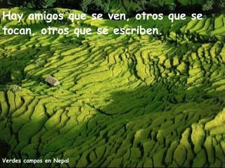 Hay amigos que se ven, otros que se
tocan, otros que se escriben.




Verdes campos en Nepal
 