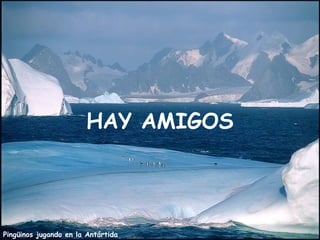 HAY AMIGOS




Pingüinos jugando en la Antártida
 