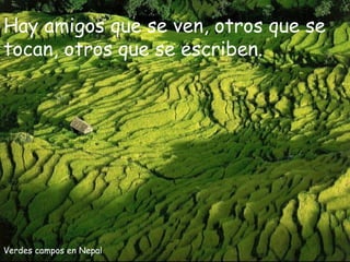 Verdes campos en Nepal Hay amigos que se ven, otros que se tocan, otros que se escriben.  