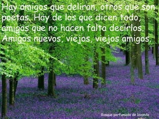 Bosque perfumado de lavanda Hay amigos que deliran, otros que son poetas. Hay de los que dicen todo, amigos que no hacen falta decirlos. Amigos nuevos, viejos, viejos amigos. 