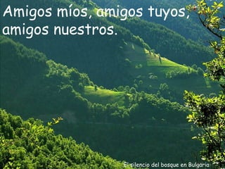 El silencio del bosque en Bulgaria Amigos míos, amigos tuyos, amigos nuestros. 