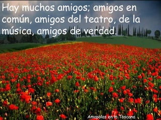 Amapolas en la Toscana Hay muchos amigos; amigos en común, amigos del teatro, de la música, amigos de verdad. 