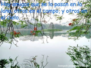 Sosegado paisaje en Vietnám Hay amigos que se la pasan en la luna, otros en el campo, y otros en el cielo. 