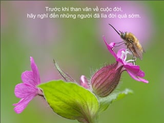Trước khi than vãn về cuộc đời,  hãy nghĩ đến những người đã lìa đời quá sớm.  