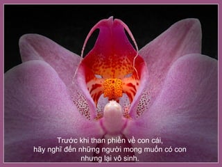 Trước khi than phiền về con cái,  hãy nghĩ đến những người mong muốn có con  nhưng lại vô sinh.   