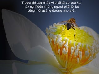 Trước khi càu nhàu vì phải lái xe quá xa,  hãy nghĩ đến những người phải lội bộ  cũng một quãng đường như thế.   