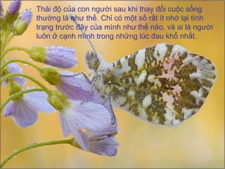 Thái độ của con người sau khi thay đổi cuộc sống thường là như thế. Chỉ có một số rất ít nhớ lại tình trạng trước đây của mình như   thế nào, và ai là người luôn ở cạnh mình trong những lúc đau khổ nhất.   