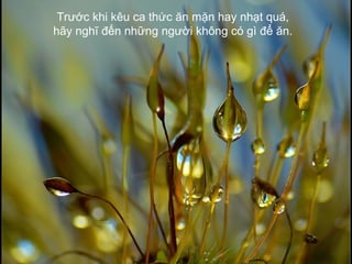 Trước khi kêu ca thức ăn mặn hay nhạt quá,  hãy nghĩ đến những người không có gì để ăn.  