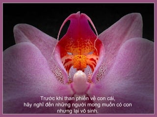 Trước khi than phiền về con cái,  hãy nghĩ đến những người mong muốn có con  nhưng lại vô sinh.   