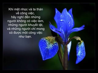 Khi mệt nhọc và ta thán về công việc,  hãy nghĩ đến những người không có việc làm, những người khuyết tật, và những người chỉ mong có được một công việc như bạn.   