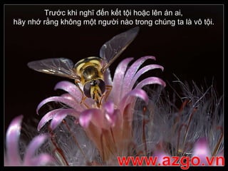 Trước khi nghĩ đến kết tội hoặc lên án ai,  hãy nhớ rằng không một người nào trong chúng ta là vô tội.   