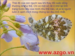 Thái độ của con người sau khi thay đổi cuộc sống thường là như thế. Chỉ có một số rất ít nhớ lại tình trạng trước đây của mình như   thế nào, và ai là người luôn ở cạnh mình trong những lúc đau khổ nhất.   