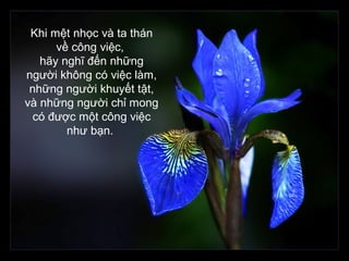 Khi mệt nhọc và ta thán
về công việc,
hãy nghĩ đến những
người không có việc làm,
những người khuyết tật,
và những người chỉ mong
có được một công việc
như bạn.
 