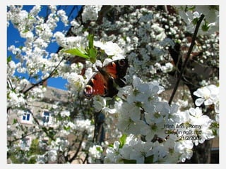 Hình ảnh : Romy
Chuyển ngữ : ltd
21/2/2009
 