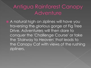 

A natural high on ziplines will have you
traversing the glorious gorge at Fig Tree
Drive. Adventurers will then dare to
conquer the 'Challenge Course' or take
the 'Stairway to Heaven' that leads to
the Canopy Caf with views of the rushing
zipliners.

 