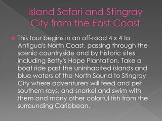 

This tour begins in an off-road 4 x 4 to
Antigua's North Coast, passing through the
scenic countryside and by historic sites
including Betty's Hope Plantation. Take a
boat ride past the uninhabited islands and
blue waters of the North Sound to Stingray
City where adventurers will feed and pet
southern rays, and snorkel and swim with
them and many other colorful fish from the
surrounding Caribbean.

 