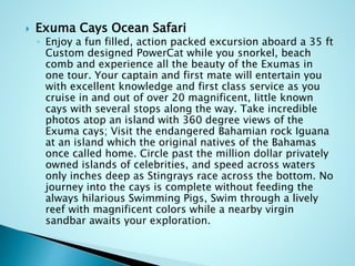  Exuma Cays Ocean Safari
◦ Enjoy a fun filled, action packed excursion aboard a 35 ft
Custom designed PowerCat while you snorkel, beach
comb and experience all the beauty of the Exumas in
one tour. Your captain and first mate will entertain you
with excellent knowledge and first class service as you
cruise in and out of over 20 magnificent, little known
cays with several stops along the way. Take incredible
photos atop an island with 360 degree views of the
Exuma cays; Visit the endangered Bahamian rock Iguana
at an island which the original natives of the Bahamas
once called home. Circle past the million dollar privately
owned islands of celebrities, and speed across waters
only inches deep as Stingrays race across the bottom. No
journey into the cays is complete without feeding the
always hilarious Swimming Pigs, Swim through a lively
reef with magnificent colors while a nearby virgin
sandbar awaits your exploration.
 