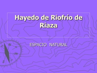 Hayedo de Riofrío de Riaza ESPACIO  NATURAL 